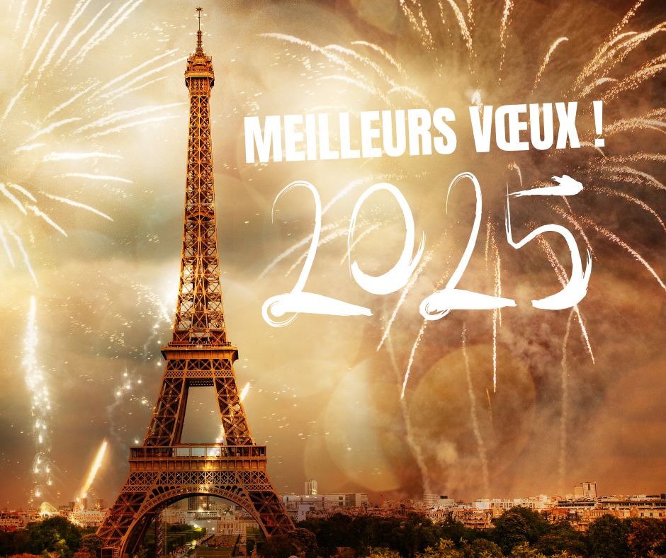 Meilleurs vœux 2025 des Editions Icone Graphic !